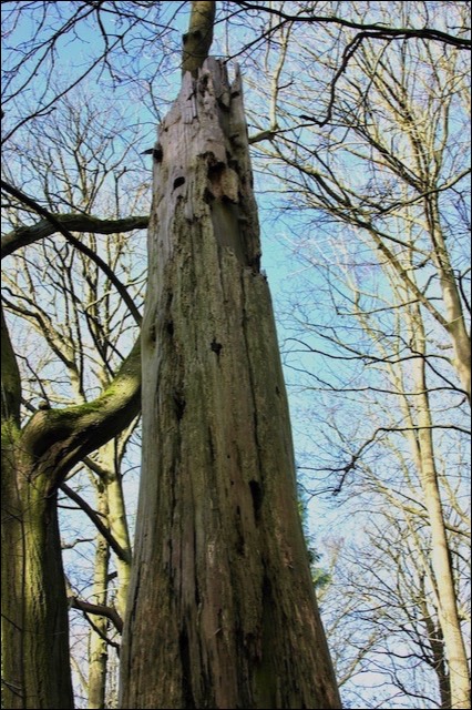 Stacks Image 130